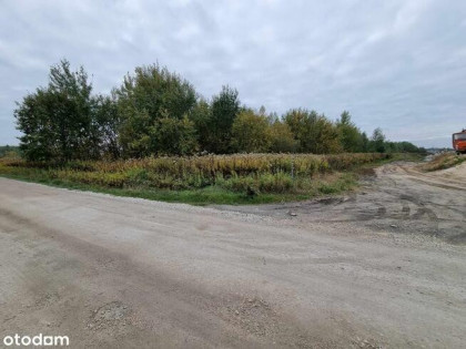 Działka budowlana 915 m² z mediami i drzewostanem, mpzp