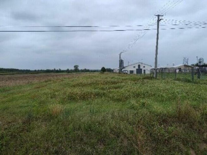 Syndyk sprzeda dom wraz z gruntem