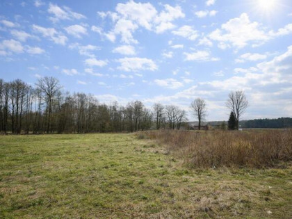 Działka inwestycyjna Malanów gm. Lutomiersk,