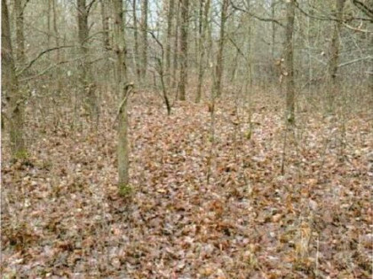 Nieruchomość - Starachowice