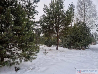 Działka rolno-leśna  – idealna pod dom letniskowy