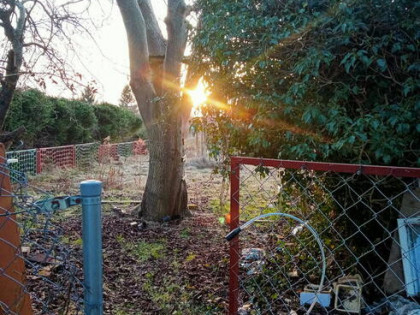 Działka ROD Sianów