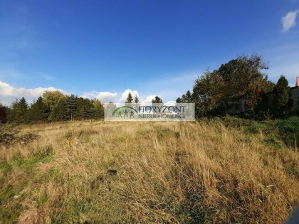 Czaple - dwie działki do wyboru