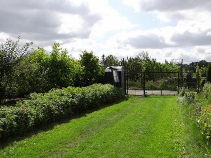 Działka ROD 448m2 Piła ul Różyckiego