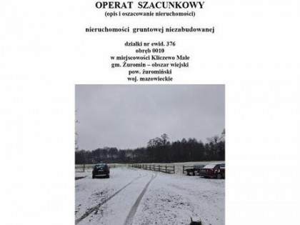Syndyk sprzeda niezabudowaną działkę - park dworski