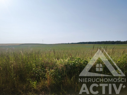 Tania działka budowl. obok lasu. Janczewo Kolonia