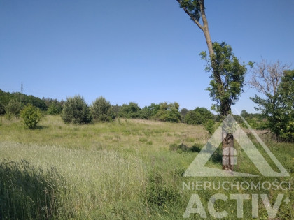 TANIA Dz. bud., Łęgowo, woj. Lubuskie, 34128zł