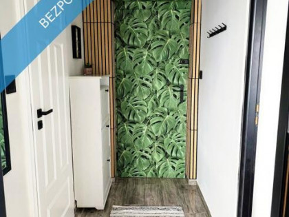 Do wynajęcia kawalerka w świetnej lokalizacji Dąbrowy Górniczej