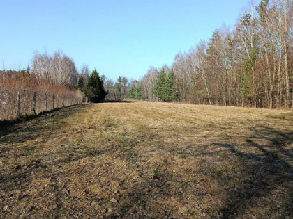 Działka budowlano-rolna 90 ar, Krzywe.