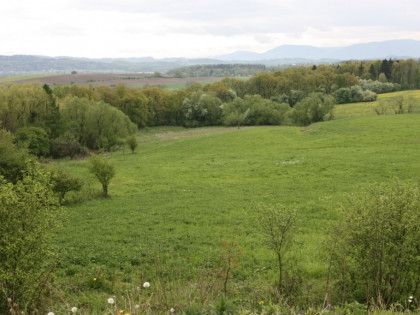 Przetarg - obręb geodezyjny Ogrodzona