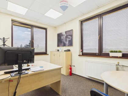 4 pietra w budynku biurowym na wynajem!