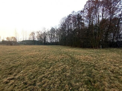 Działka budowlana z lasem, blisko autostrady A1