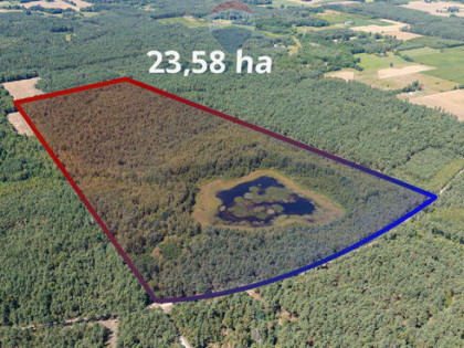 Duża działka z lasem i oczkiem wodnym