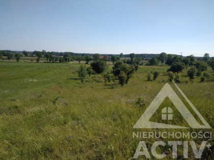 TANIA Dz. bud., Łęgowo, woj. Lubuskie, 34128zł