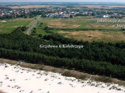 Działka Stary Borek ul. Spacerowa