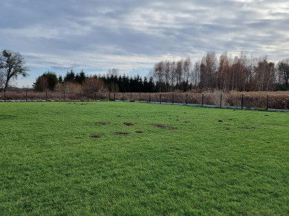 Działka Budziwojowice