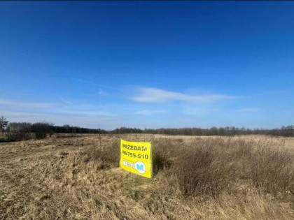 Działka rolna Śladków Duży Śladków Duży
