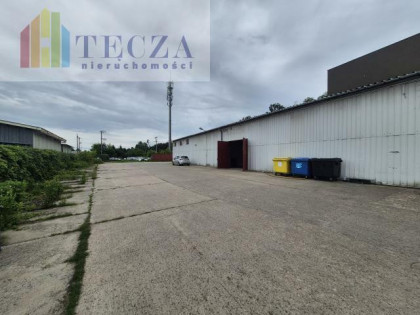 Lokal użytkowy Ząbki