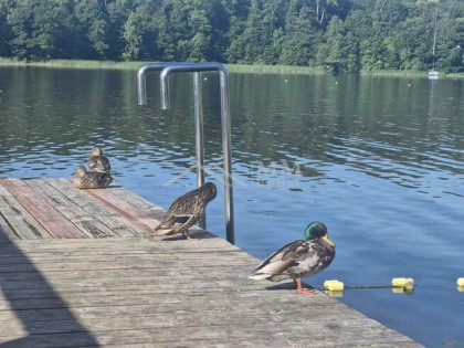 Działka nad jeziorem Ruda Woda- Wilamowo.