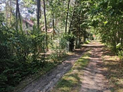 Sprzedam piękną leśną działkę budowlaną
