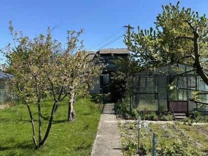 Ogródek działkowy przy ul. Królewieckiej w Elblągu