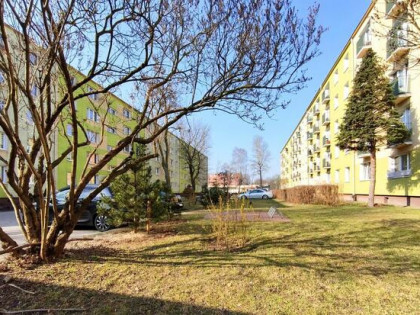 Trzypokojowe w dzielnicy Tysiąclecie przy Zapolskiej