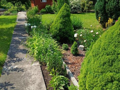 Ogródek działkowy ROD ,,Nowy Kanał