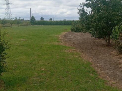 Działki usługowo budowlana, 99-100 Łęczyca