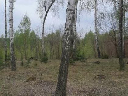 9600m2 działka w Jasionnej koło Białobrzegów Radomskich