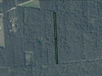 Syndyk sprzeda działkę leśną