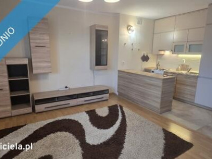 Kameralny budynek, słoneczny balkon w otoczeniu zieleni –  2 pokoje w świetnej lokalizacji