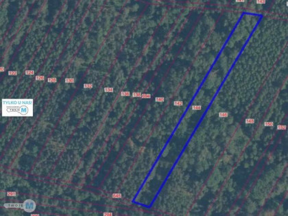 Działka leśna Pierzchnica Osiny