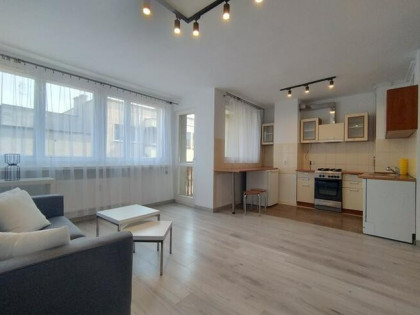 Reymonta 3, ścisłe centrum, 2 pokoje, balkon