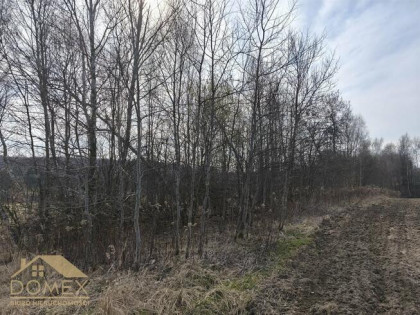 Działka budowlana Wodzisław Śląski, Kominka