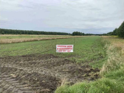 Działka, 1 591 m², Libidza