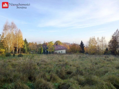 Działka Dobranowice