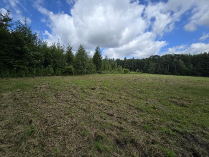 Działka Dąbrowa Górnicza Łosień