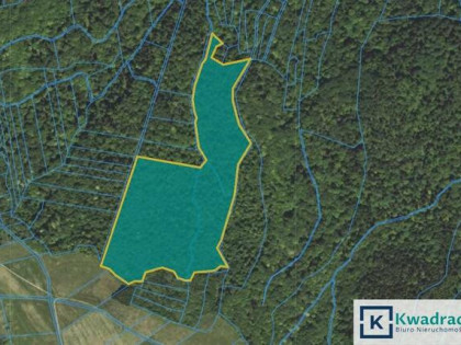 Działka leśna Stary Żmigród gm. Nowy Żmigród,
