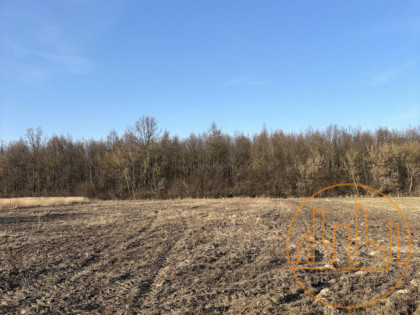 Działka inwestycyjna Gaj gm. Teresin,