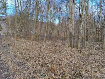 Działka żywiec, ul. Królowej Jadwigi