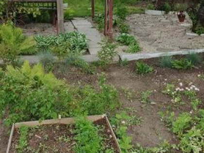 Działka rekreacyjna ROD