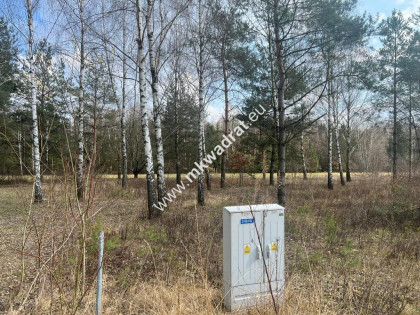 Piękna działka Tłumy gm.Mszczonów