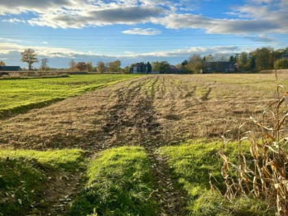 Działka rolno-budowlana Kraków Nowa Huta, Chałupki