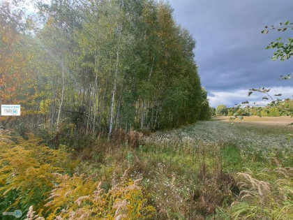 Działka siedliskowa Łagów Sędek