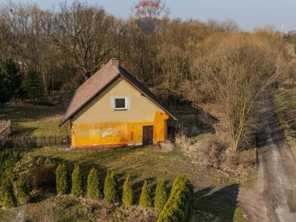 Dom z działką na sprzedaż