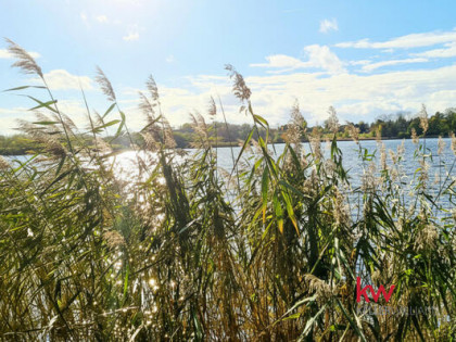 Działka budowlana Jaromierz gm. Gardeja,