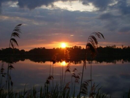 WYJĄTKOWA DZIAŁKA 0,39 / 0,039 h. TYLKO 13 KM OD WARSZAWY