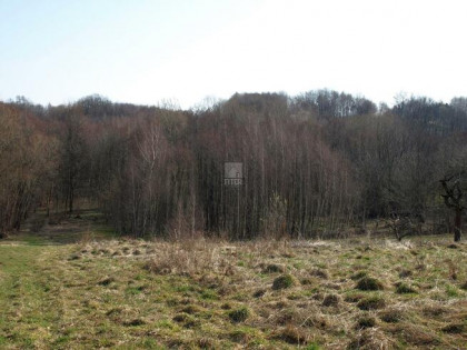 Działka rolno-budowlana Jadowniki gm. Brzesko