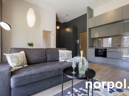 Nowoczesne mieszkanie z loggią i tarasem / Modern apartment with loggia