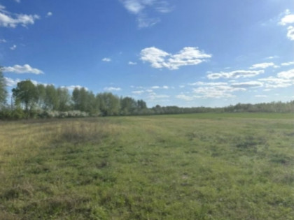 Działka Wincentów ul.  